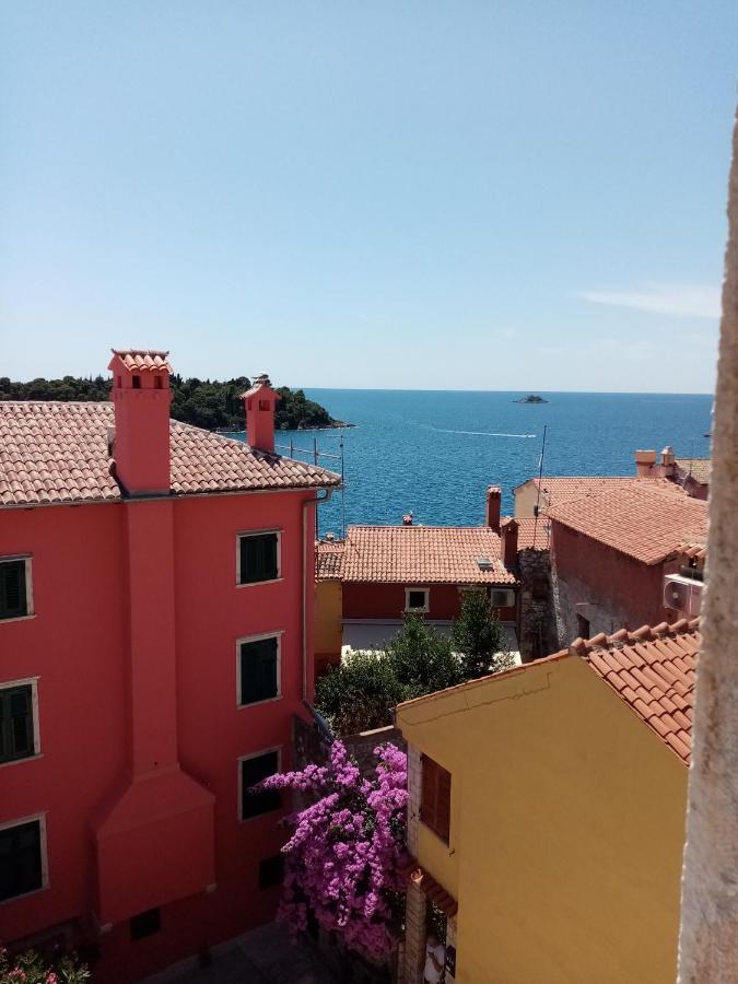 Casa Di Marko 105 M2 Garden Daire Rovinj Dış mekan fotoğraf