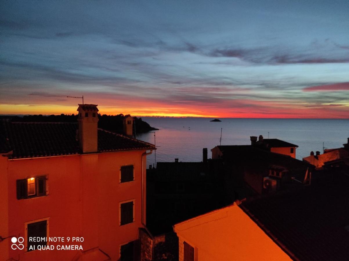 Casa Di Marko 105 M2 Garden Daire Rovinj Dış mekan fotoğraf