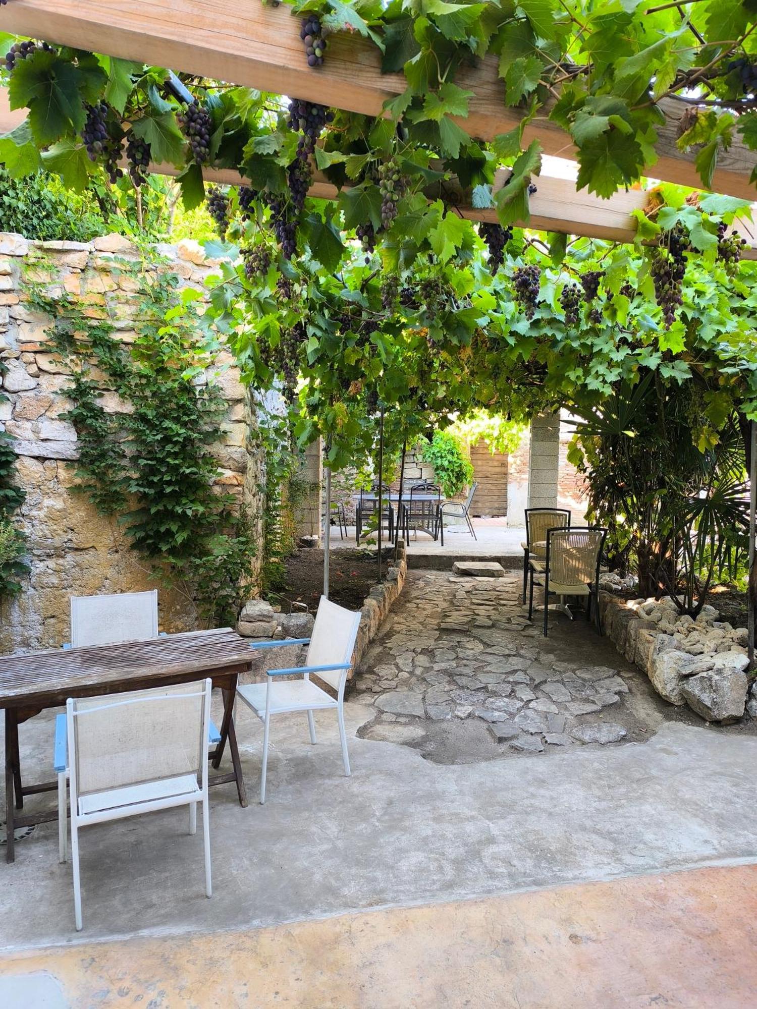 Casa Di Marko 105 M2 Garden Daire Rovinj Dış mekan fotoğraf